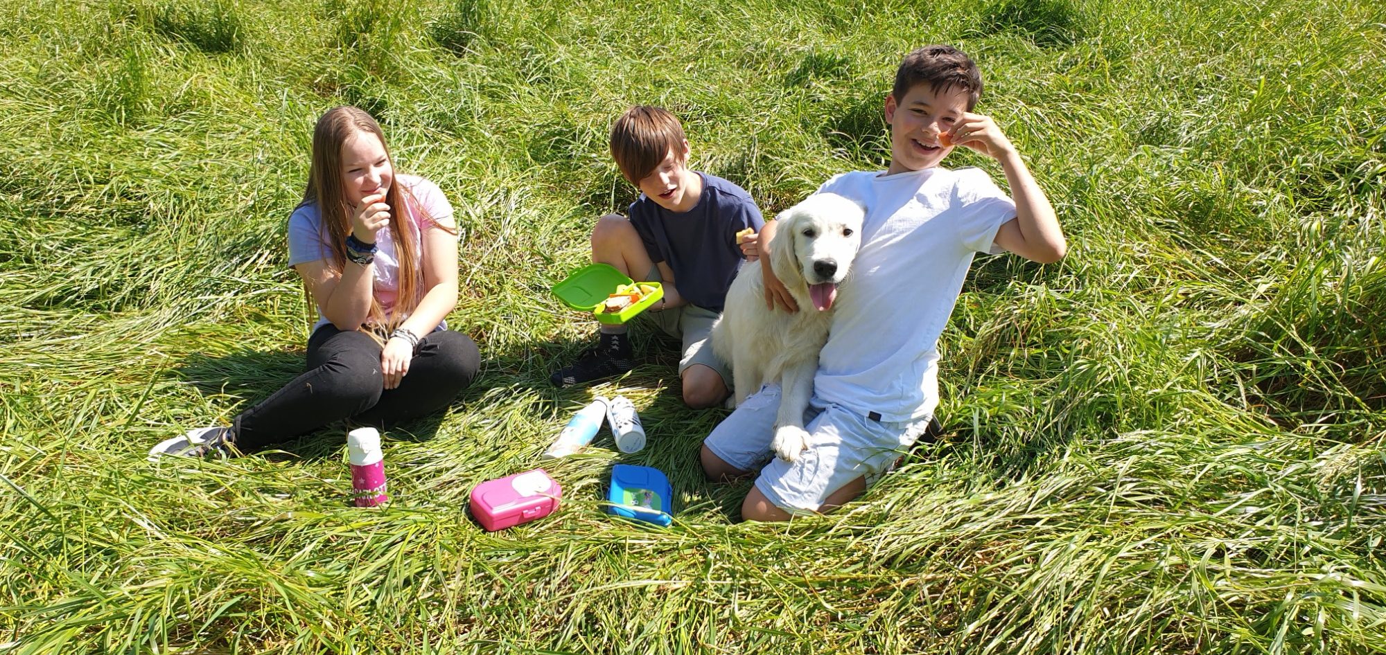 Drei Kinder sitzen mit Brotdosen und Trinkflaschen im Gras mit einem Hund.